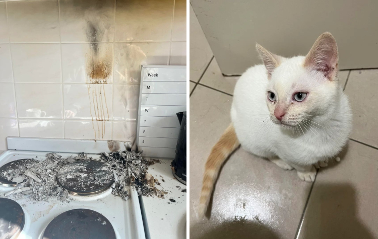 image-20230704180639-9