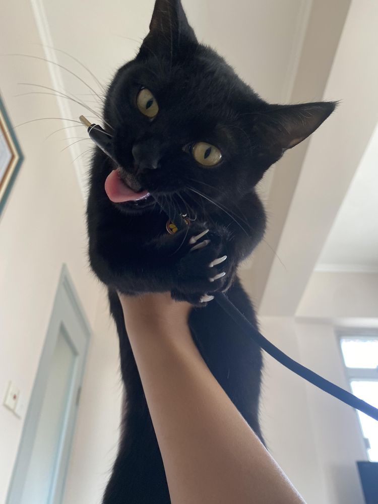 image-20230704180646-11