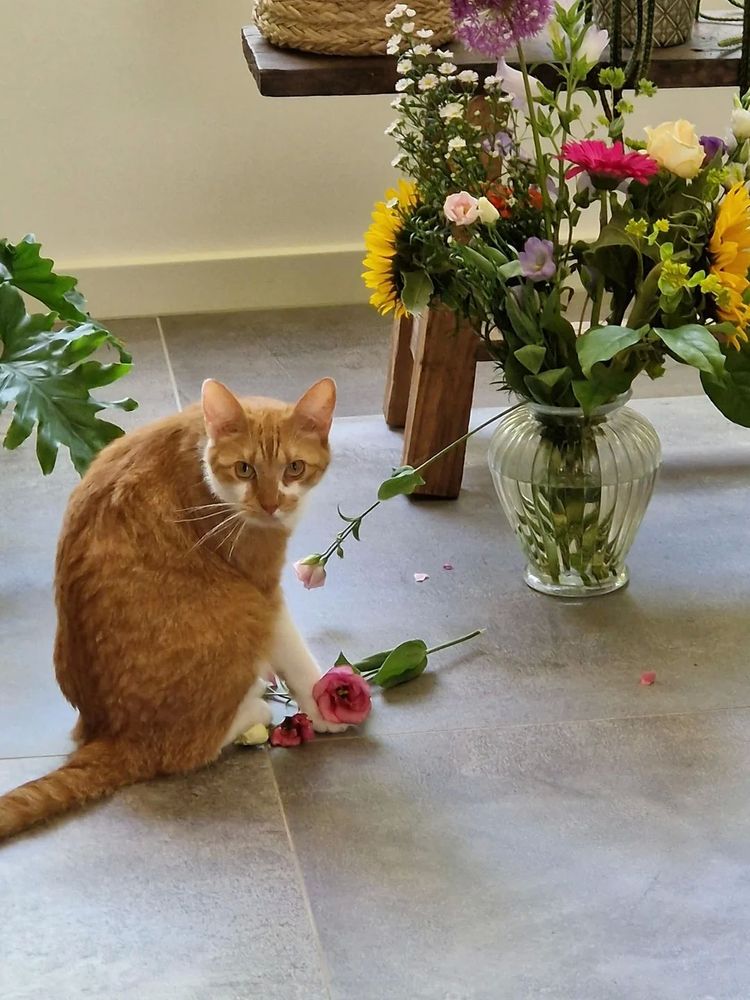 image-20230704180649-12