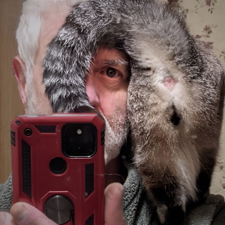 image-20230704180654-13