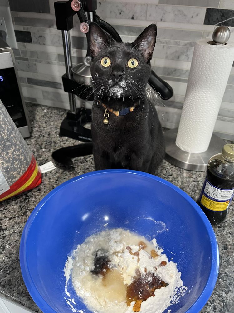 image-20230704180657-14