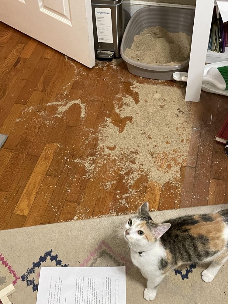 image-20230704180703-16