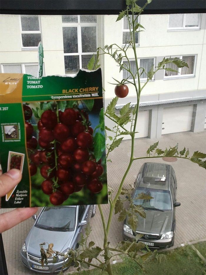 image-20230706140827-2