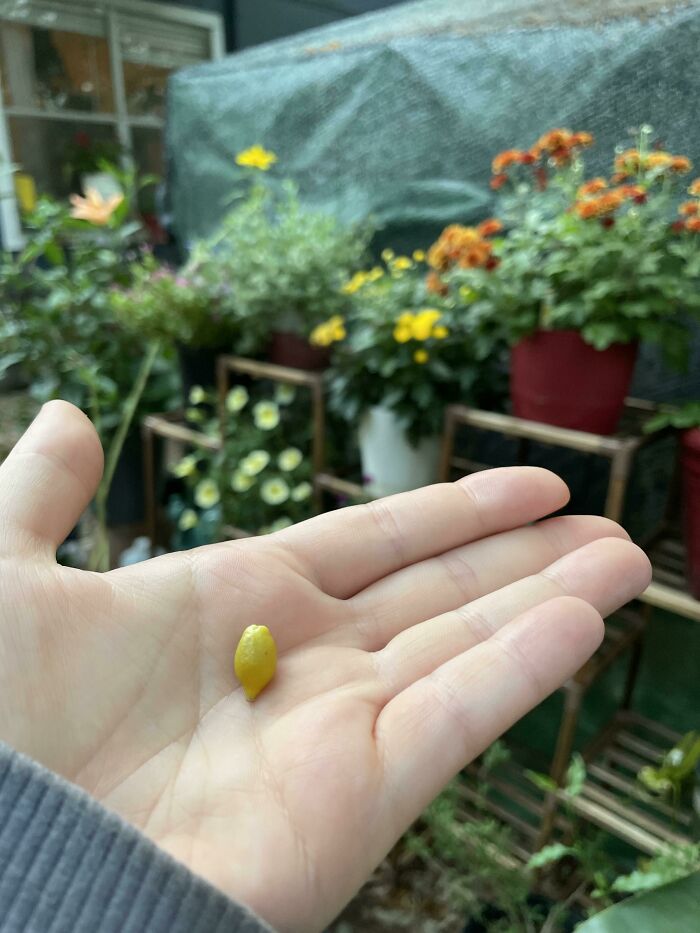 image-20230706140831-3