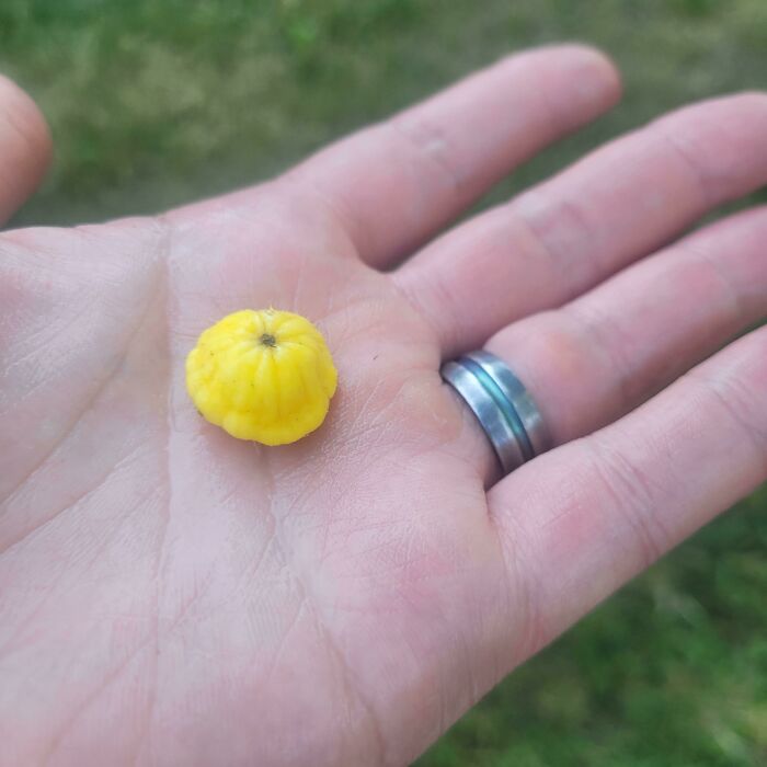 image-20230706140834-4