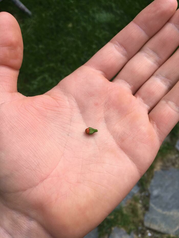 image-20230706140841-5