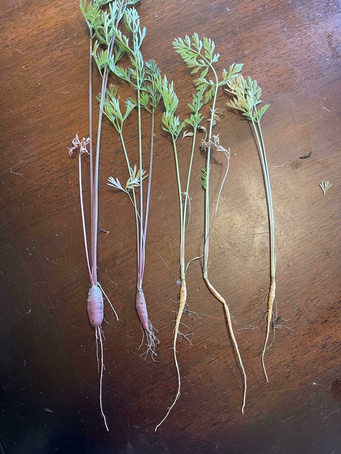 image-20230706140844-6