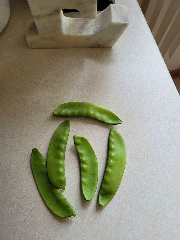 image-20230706140847-7