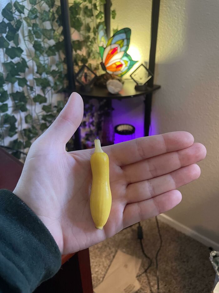 image-20230706140855-9