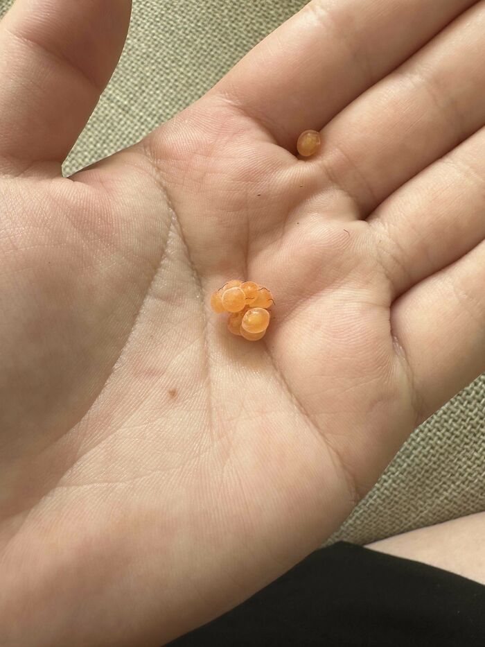 image-20230706140902-11