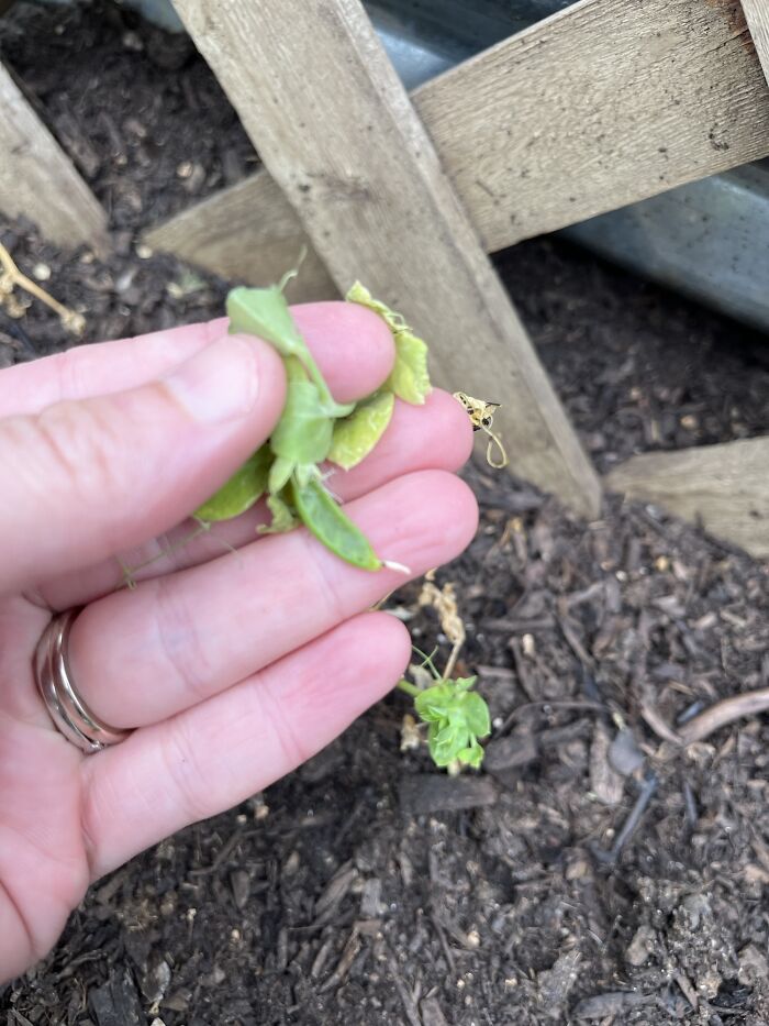 image-20230706140905-12