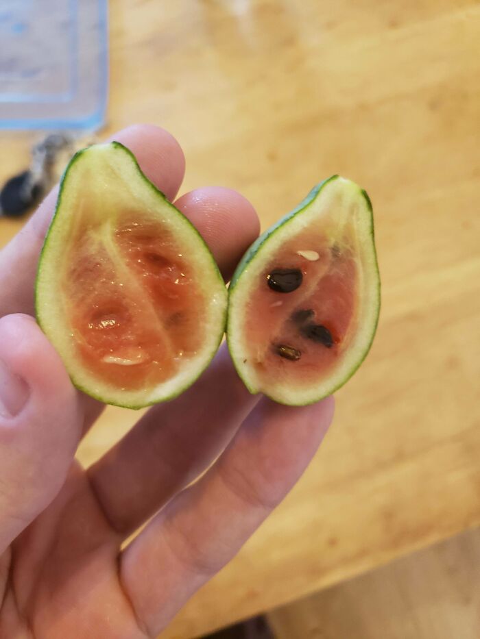 image-20230706140916-15