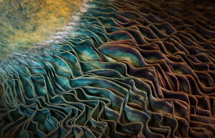 image-20230710095300-6