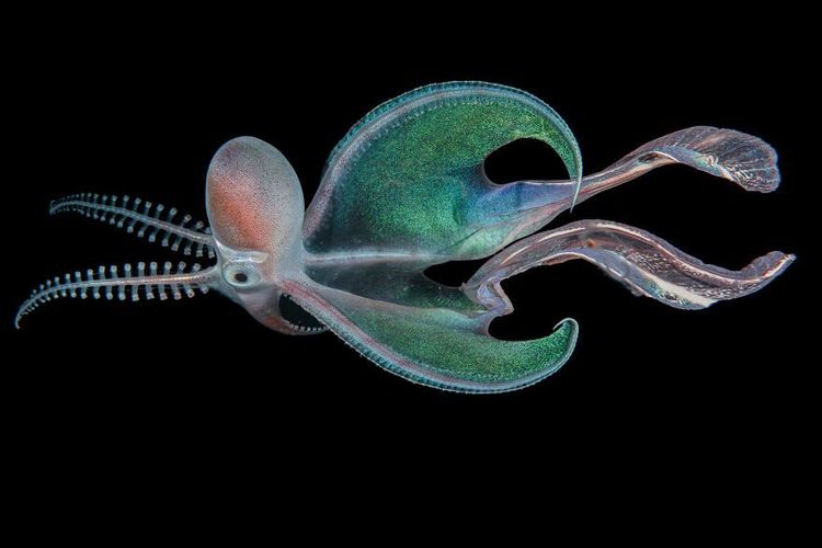 image-20230710095335-15