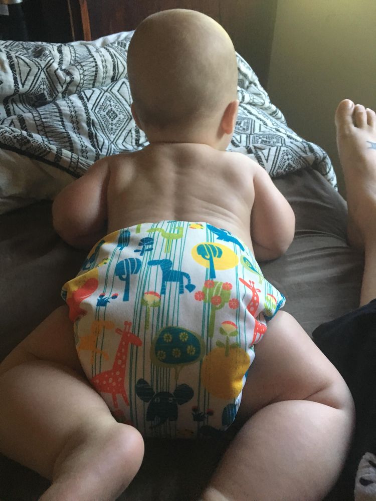 image-20230712122250-5