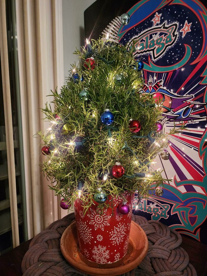 image-20230712122308-10