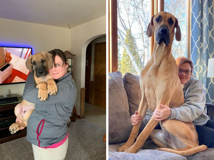 image-20230713134155-4