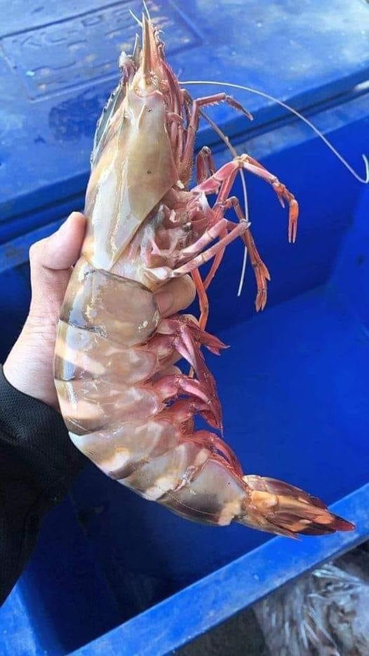 image-20230713134205-6