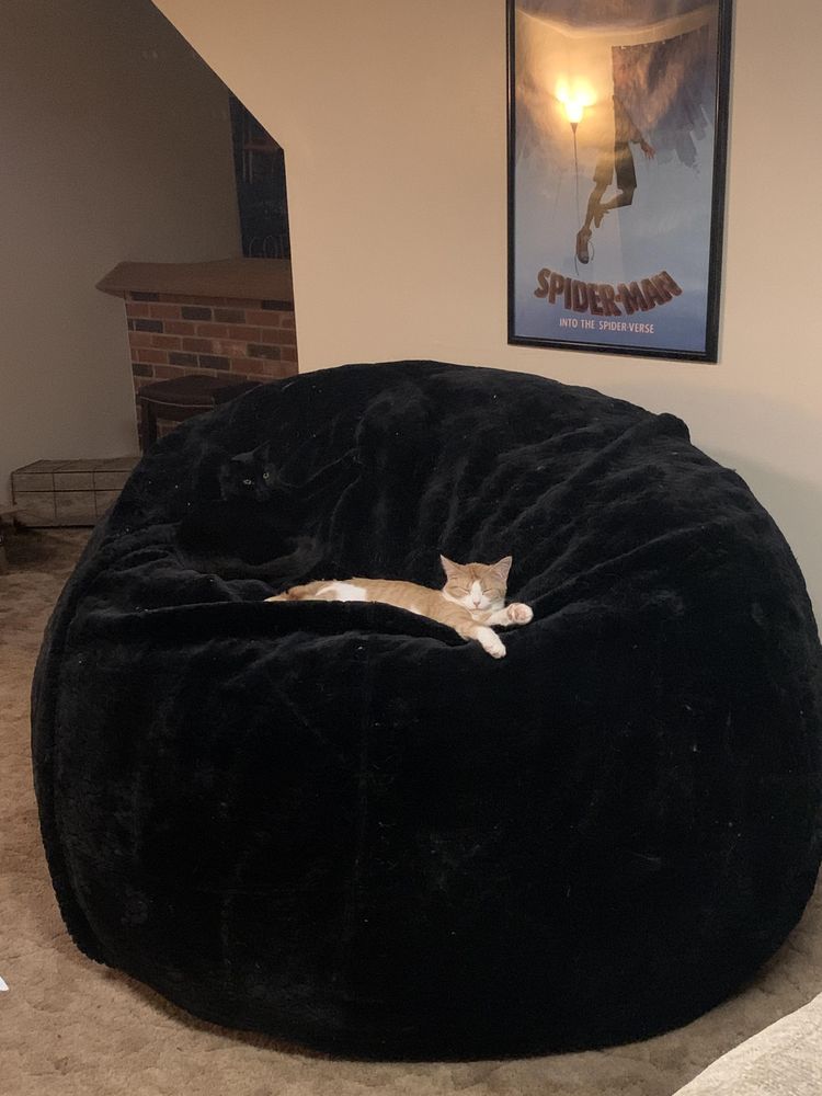 image-20230713161808-13