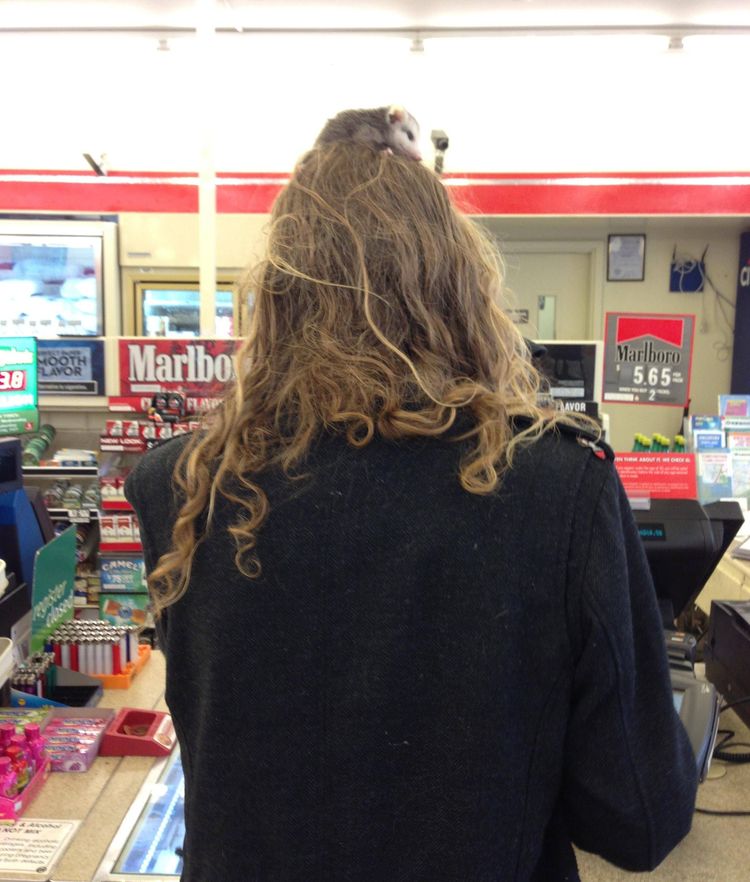 image-20230713161817-16