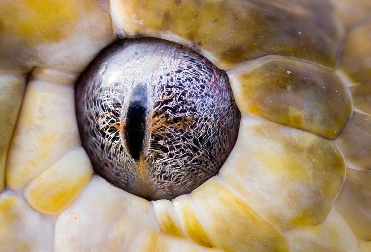 image-20230713175515-2