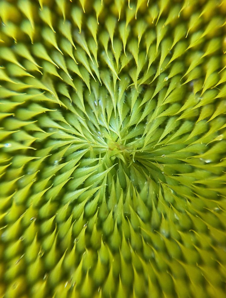 image-20230713175520-4