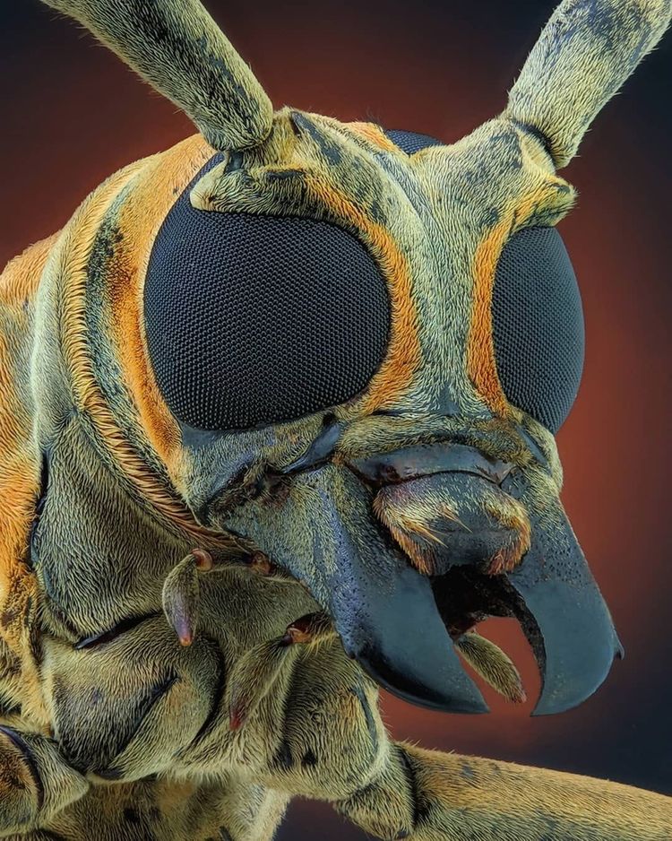 image-20230713175530-7