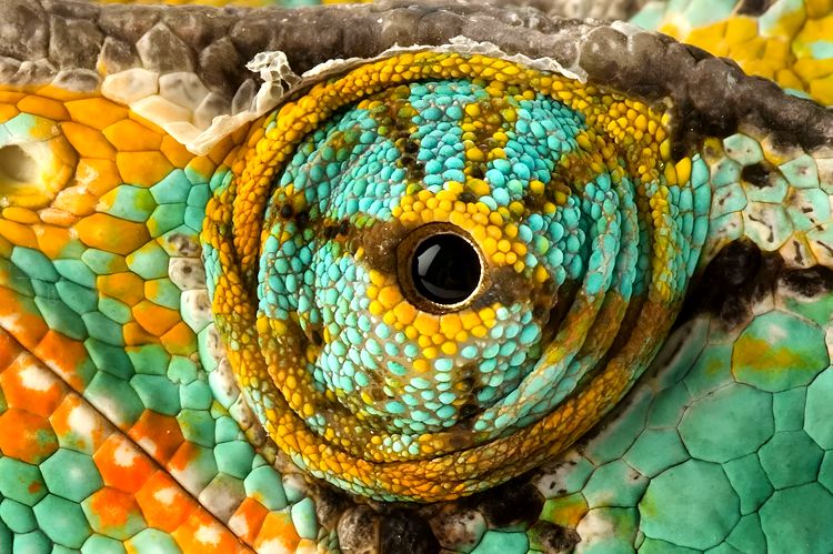 image-20230713175538-9