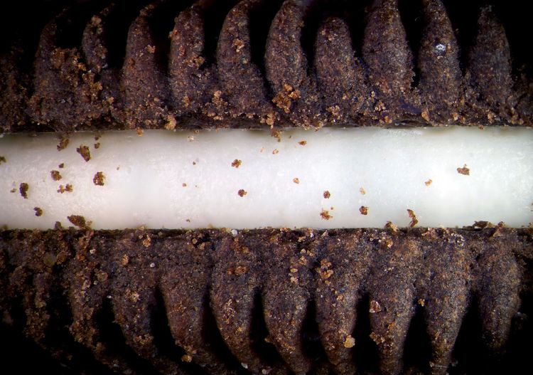 image-20230713175550-13