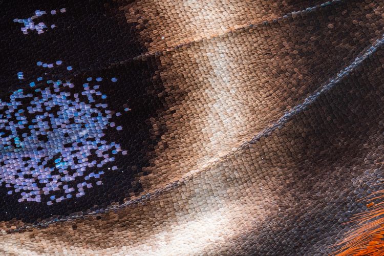 image-20230713175553-14