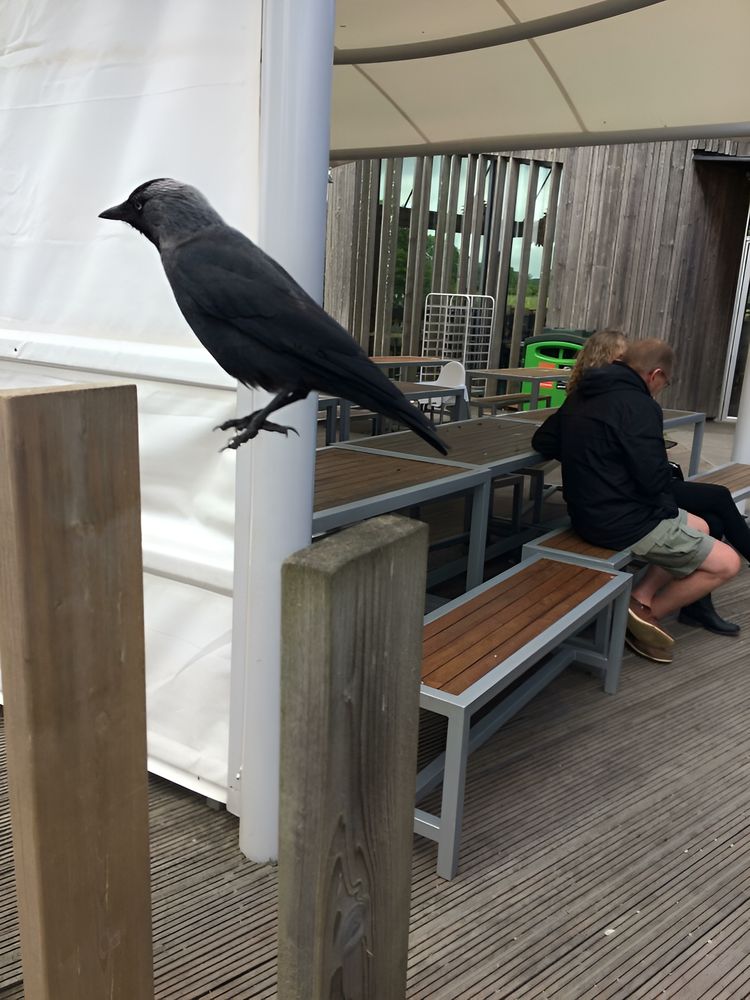 image-20230714122142-1