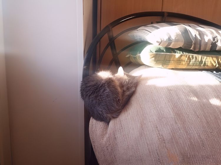 image-20230714122300-15