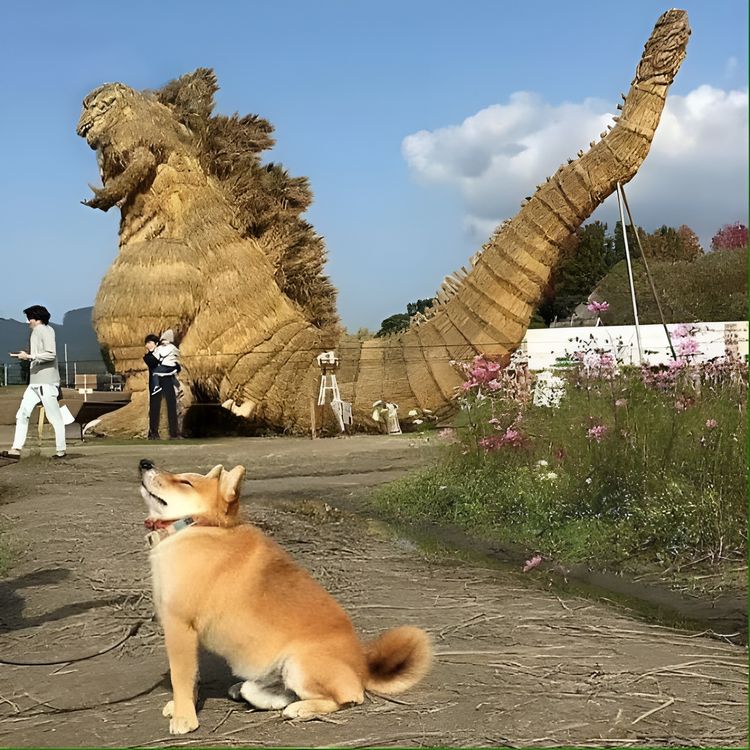 image-20230714181322-1