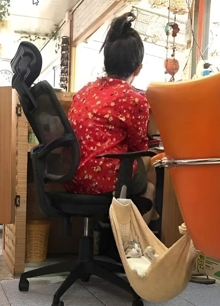 image-20230714181908-9