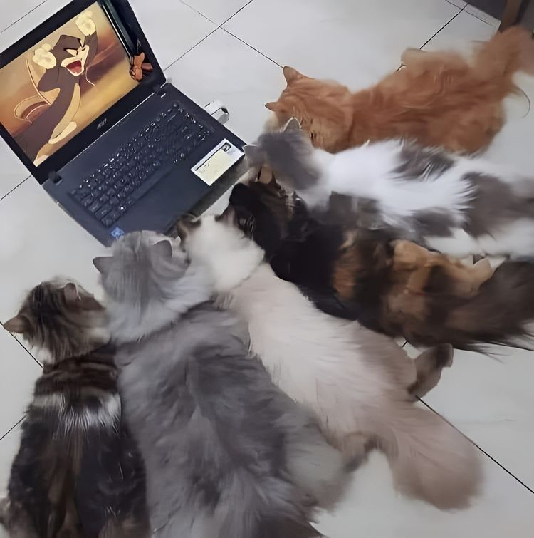 image-20230714181923-14