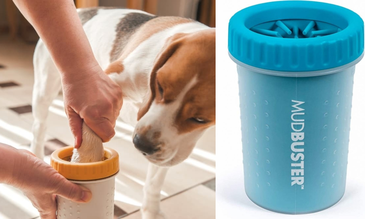 image-20230715152257-7