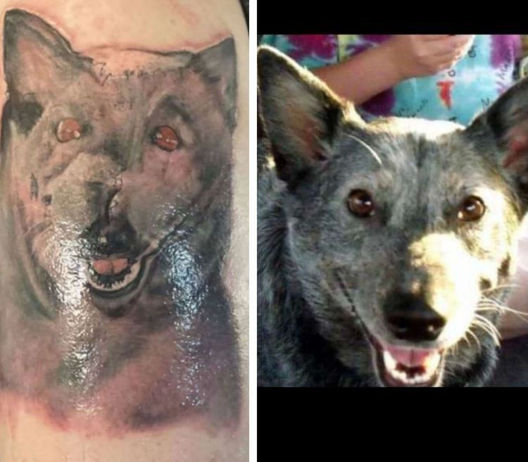 image-20230717115113-8