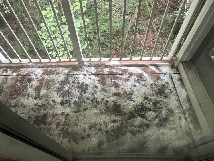 image-20230717155736-6