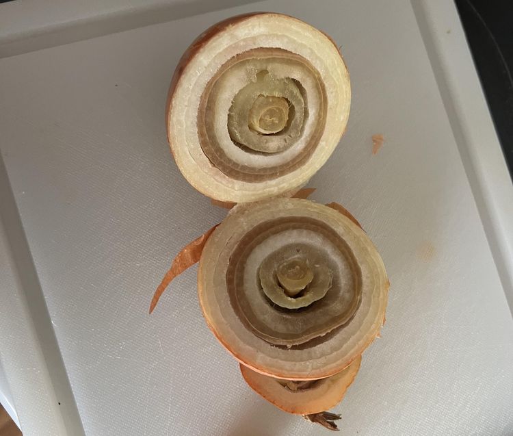 image-20230718140255-2