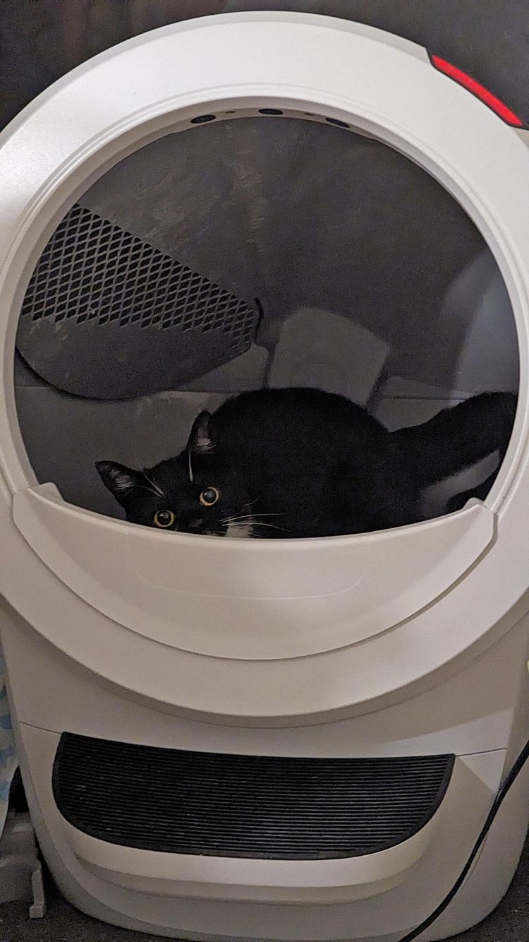 image-20230718140320-9