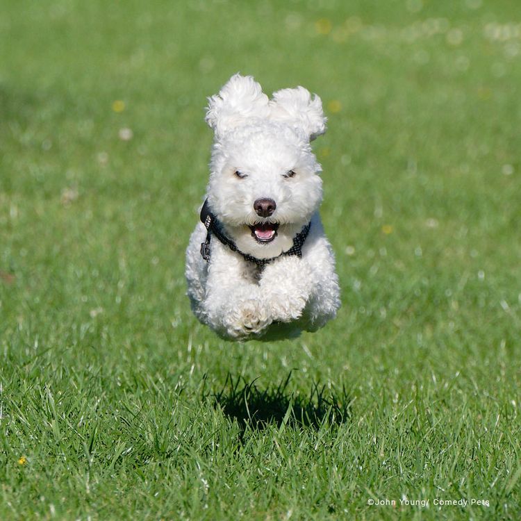 image-20230718153747-15