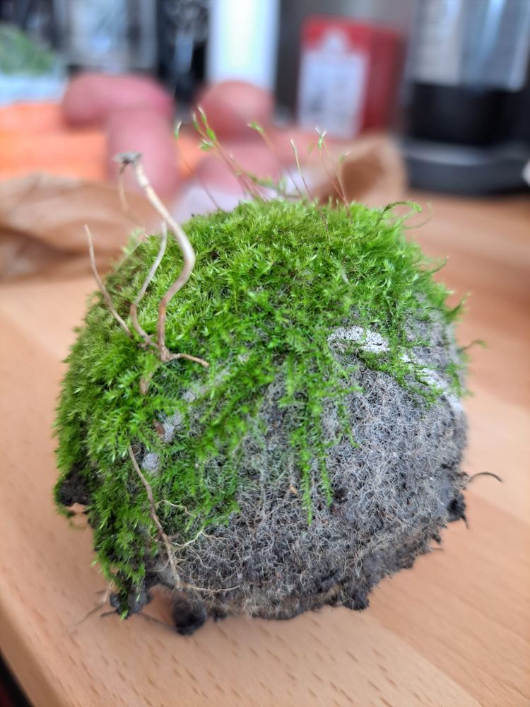 image-20230718170652-3