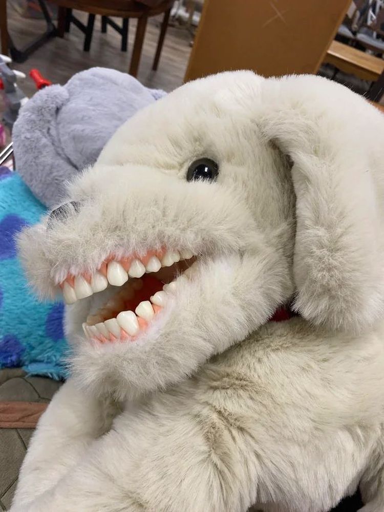 image-20230720131805-13