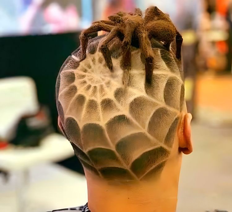 image-20230724112455-2