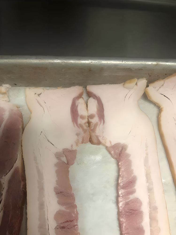 image-20230724112501-4