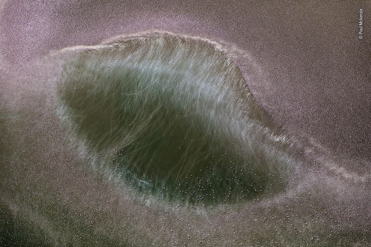 image-20230724131904-13