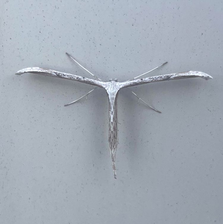 image-20230724131915-14