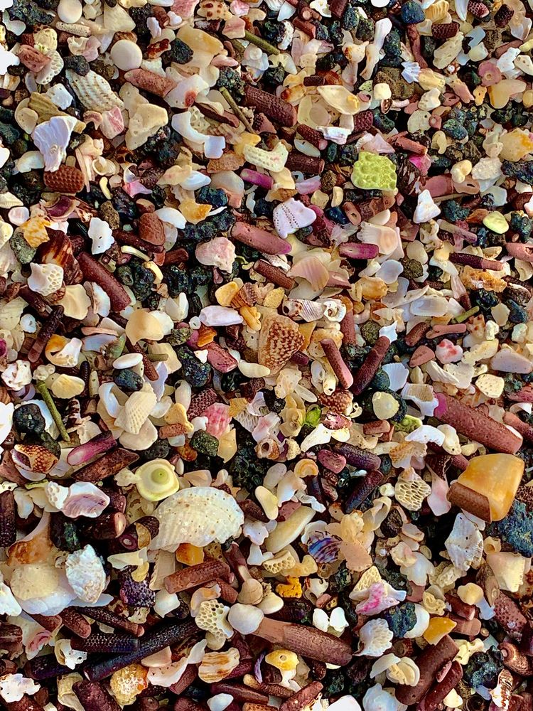 image-20230724131918-15