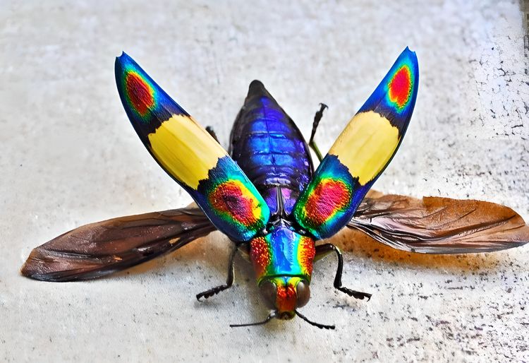 image-20230724131925-17