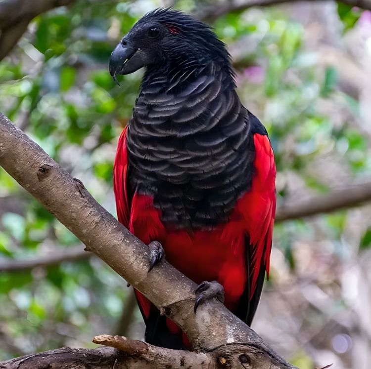 image-20230724131928-18